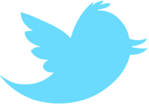 new-twitter-bird-transparent